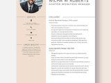 Sample Resume for A Terminal Manager Free Free Aviation Operations Manager Resume Template – Word …