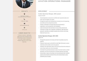 Sample Resume for A Terminal Manager Free Free Aviation Operations Manager Resume Template – Word …