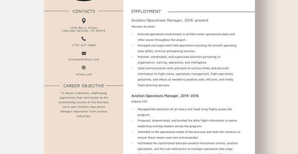 Sample Resume for A Terminal Manager Free Free Aviation Operations Manager Resume Template – Word …