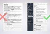 Sample Resume for A Terminal Manager Retail Manager Resume Examples (with Skills & Objectives)