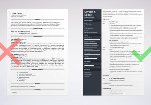 Sample Resume for A Terminal Manager Retail Manager Resume Examples (with Skills & Objectives)