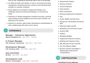 Sample Resume for A Terminal Manager Senior Technical Manager Resume Sample 2022 Writing Tips …