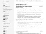 Sample Resume for A Terminal Manager Warehouse Supervisor Resume Examples & Writing Tips 2022 (free Guide)