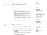 Sample Resume for A Travel Agent Travel Agent Resume & Writing Guide  17 Templates Pdf & Word