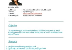 Sample Resume for A Travel Consultant Travel Consultant Resume Sample Pdf Consultant Guide Book