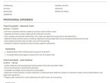 Sample Resume for A Travel Consultant Travel Consultant Resume Template/ Sample by Skillroads: Https …