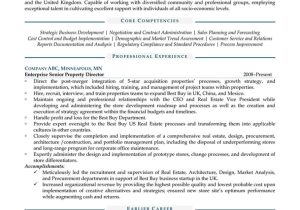 Sample Resume for A Vice President Position Vice President Of Real Estate Resume Example Resume4dummies