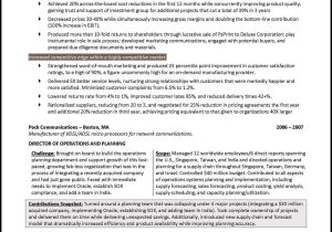 Sample Resume for A Vice President Position Vice President Resume Example – Distinctive Career Services