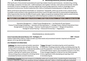 Sample Resume for A Vice President Position Vice President Resume Example – Distinctive Career Services