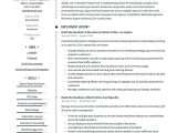 Sample Resume for A Visual Merchandising Retail Merchandiser Resume & Writing Guide  17 Templates