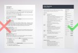Sample Resume for A Visual Merchandising Visual Merchandising Resume: Samples and Guide