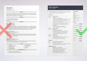 Sample Resume for A Visual Merchandising Visual Merchandising Resume: Samples and Guide