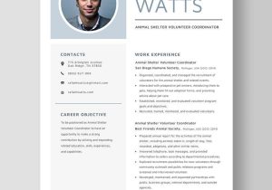Sample Resume for A Volunteer Coordinator Animal Shelter Volunteer Coordinator Resume Template – Word …