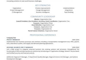 Sample Resume for A Volunteer Coordinator Volunteer Resume Sample Monster.com