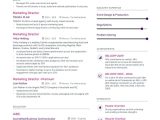 Sample Resume for A Vp Of Marketing 8lancarrezekiq Vp Of Marketing Resume Samples, Examples and Writing Guide …