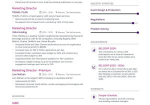 Sample Resume for A Vp Of Marketing 8lancarrezekiq Vp Of Marketing Resume Samples, Examples and Writing Guide …