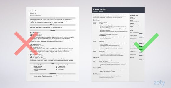 Sample Resume for A Vp Of Marketing Marketing Director Resume Examples and Guide