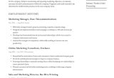 Sample Resume for A Vp Of Marketing Marketing Manager Resume Examples & Writing Tips 2022 (free Guide)