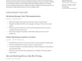 Sample Resume for A Vp Of Marketing Marketing Manager Resume Examples & Writing Tips 2022 (free Guide)