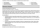 Sample Resume for Account Executive Position Account Executive Resume Sample