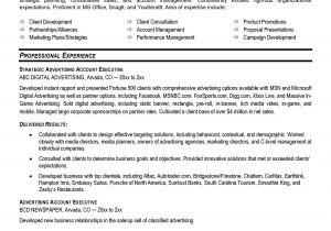 Sample Resume for Account Executive Position Account Executive Resume Sample