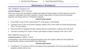 Sample Resume for Account Executive Position Sample Resume for An Advertising Account Executive