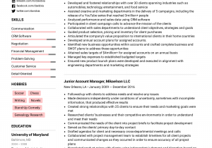 Sample Resume for Account Manager Position Account Manager Resume Example & Writing Tips for 2021