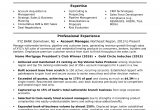 Sample Resume for Account Manager Position Account Manager Resume Sample