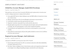 Sample Resume for Account Manager Position Account Manager Resume & Writing Guide