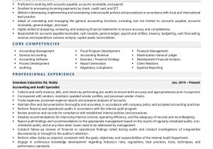 Sample Resume for Accountant Preparing Workpapers Accounting and Audit Specialist Resume Examples & Template (with …