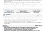 Sample Resume for Accounts and Finance In India Accounts Executive Resume Examples & Template (with Job Winning Tips)