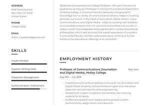 Sample Resume for Adjunct Teaching Position College Professor Resume Example & Writing Guide Â· Resume.io
