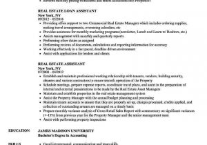 Sample Resume for Administrative assistant In Real Estate Real Estate assistant Resume Samples Velvet Jobs