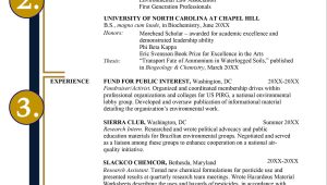 Sample Resume for Advocacy and Policy Work Resume Advice & Samples – Yale Law School