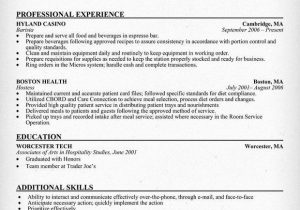 Sample Resume for Airline Customer Service Representative Airline Customer Service Resume Fresh Customer Service Air