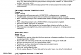 Sample Resume for Airline Ticketing Agent Airline Ticket Agent Job Description United Airlines and