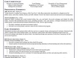 Sample Resume for Airline Ticketing Agent Sample Airlines Ticketing Agent Cv
