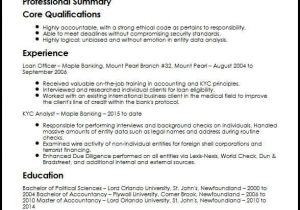 Sample Resume for Aml Kyc Analyst Awesome Aml Kyc Resume Template Addictips