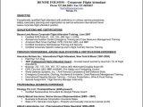 Sample Resume for Applying Flight attendant Flight attendant Resume Template