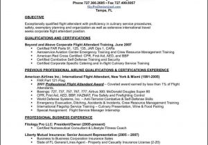 Sample Resume for Applying Flight attendant Flight attendant Resume Template