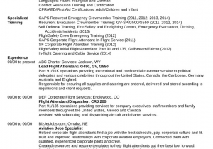 Sample Resume for Applying Flight attendant Professional Flight attendant Resume Template
