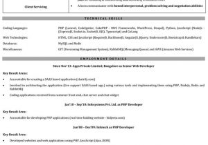 Sample Resume for asp Net Developer Fresher Web Developer Resume