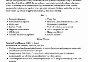 Sample Resume for assistant Nurse Manager Position assistant Nurse Manager Resume Example Palomar Medical