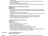 Sample Resume for assistant Professor Management Resume University Professor