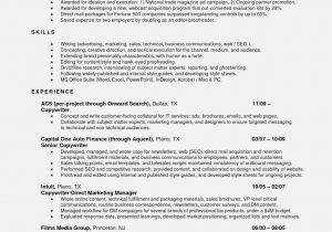 Sample Resume for Auto Loan Officer Finance Manager Cv Sample