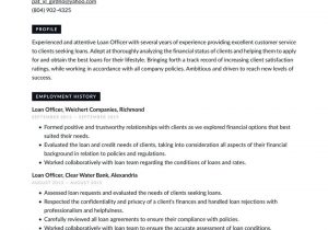 Sample Resume for Auto Loan Officer Loan Officer Resume Examples & Writing Tips 2021 (free Guide)