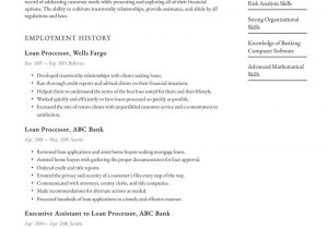 Sample Resume for Auto Loan Officer Loan Processor Resume Examples & Writing Tips 2021 (free Guide)