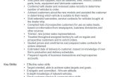 Sample Resume for Automobile Sales Executive Car Sales Cv Resume – Car Sales Cv Example