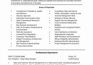Sample Resume for Bank Branch Operations Manager 14 15 Branch Manager Resume Example southbeachcafesf Sample Resume for Bank Branch Operations Manager 14 15 Branch Manager Resume Example southbeachcafesf