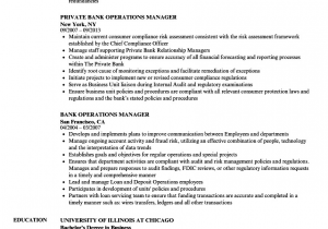 Sample Resume for Bank Branch Operations Manager It Operations Manager Job Description Free Resume Templates